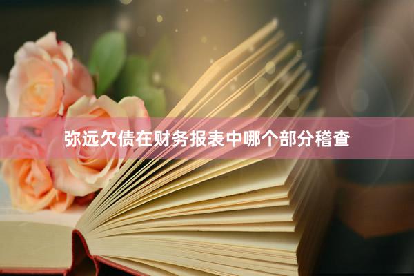 弥远欠债在财务报表中哪个部分稽查