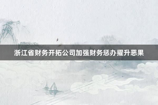浙江省财务开拓公司加强财务惩办擢升恶果