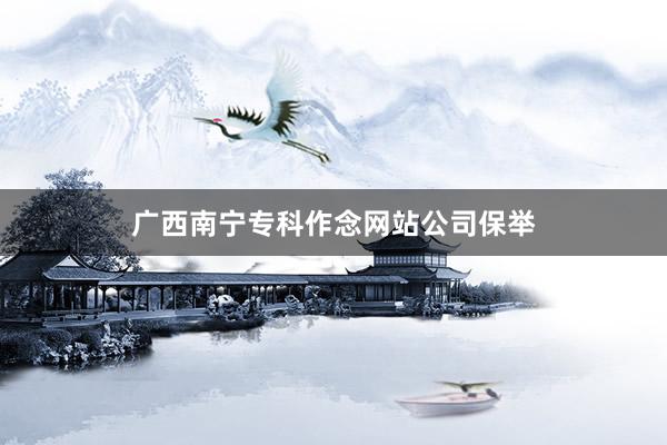 广西南宁专科作念网站公司保举