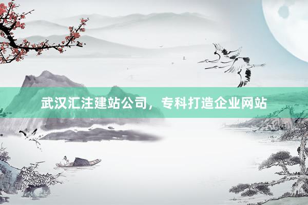 武汉汇注建站公司，专科打造企业网站